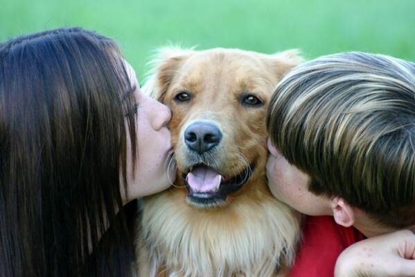 Des gens embrassent un chien et sont infectés par des vers