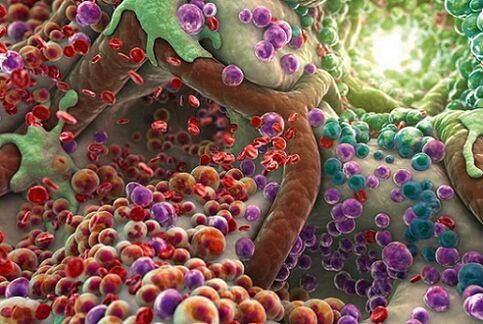 Toxines dans le corps en présence de parasites